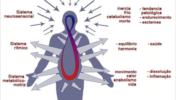 Medicina antroposófica/antroposofia aplicada à saúde